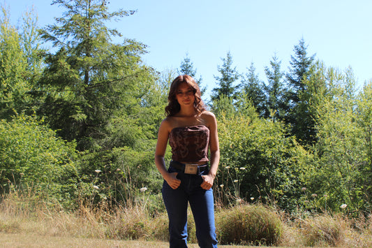 Western Embroidery Corset Top