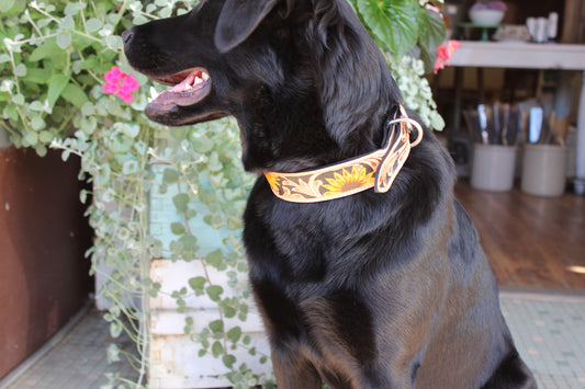 Hand Tooled Sunflower Leather Western Dog Collar