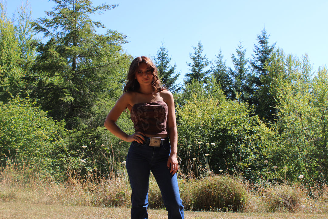 Western Embroidery Corset Top